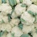 全部可套网套散花菜松花菜青梗散花菜。海拔900米露天种植