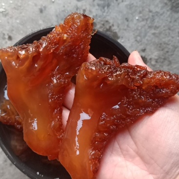 海蜇头，红头单角，产地直发大量现货。不包运费