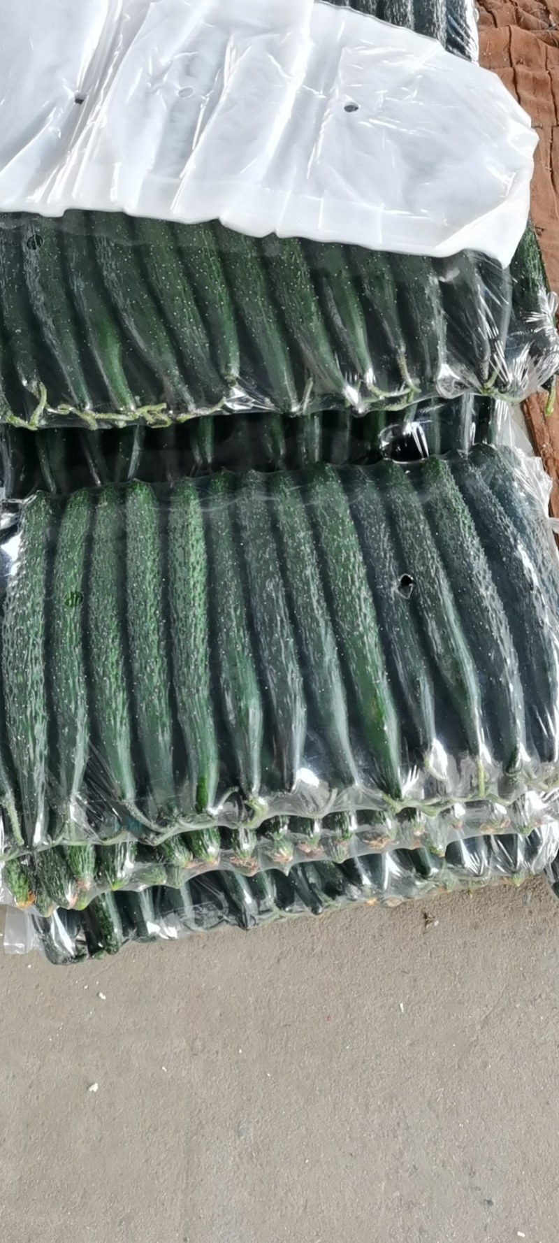 黄瓜密刺黄瓜小条中条油亮黑皮黄瓜货源充足视频看货诚信经营