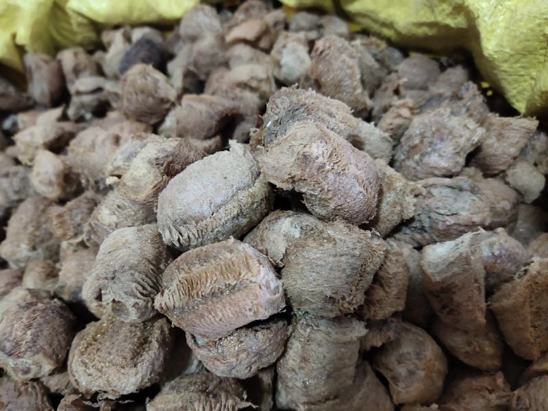 桑螵蛸蟑螂壳选关书药业1000g起批