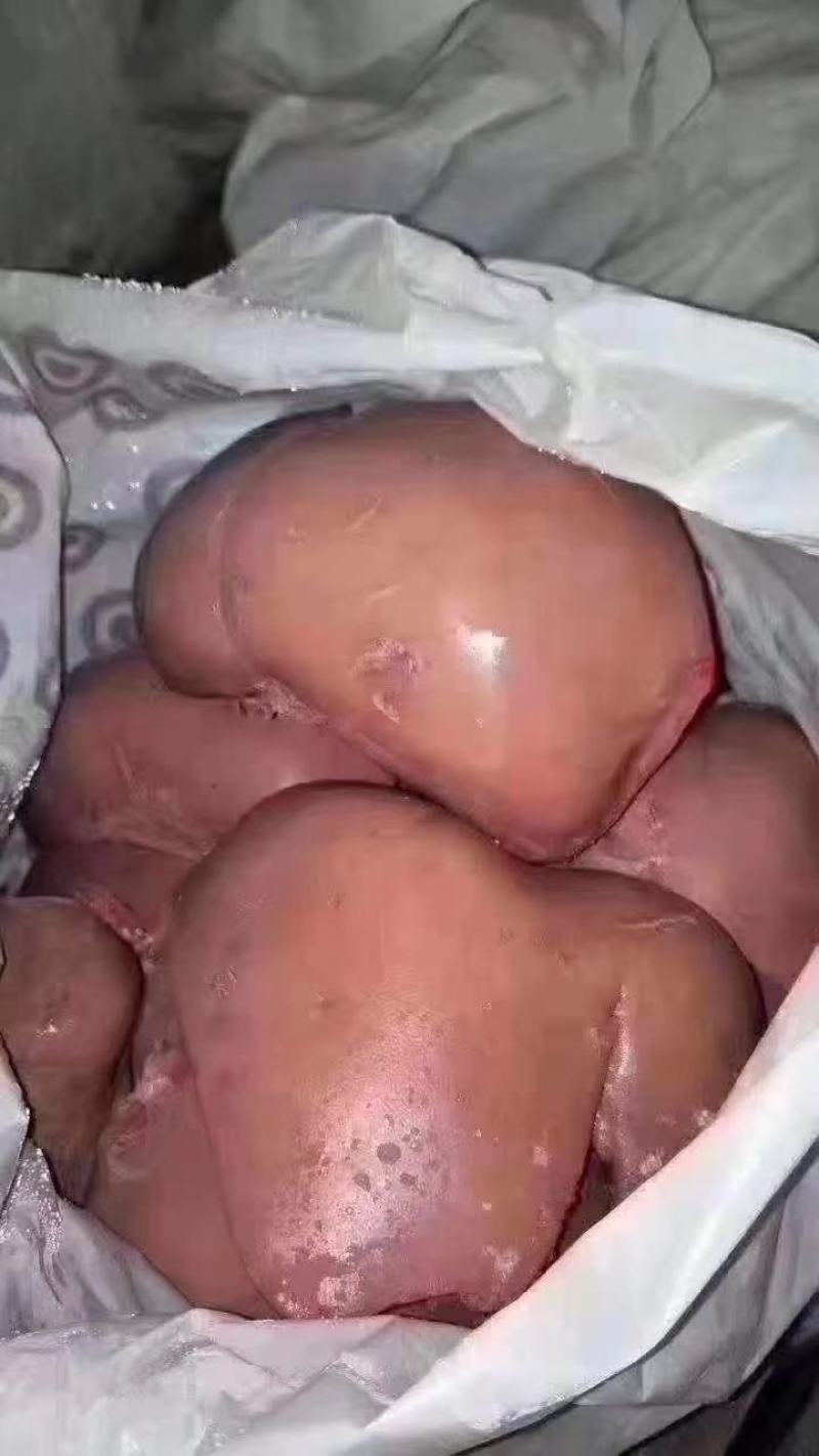 万邦供应商熟羊肝生羊肝现货