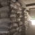 防己去皮干燥，粉质好，纯野生主要原产地，货品足