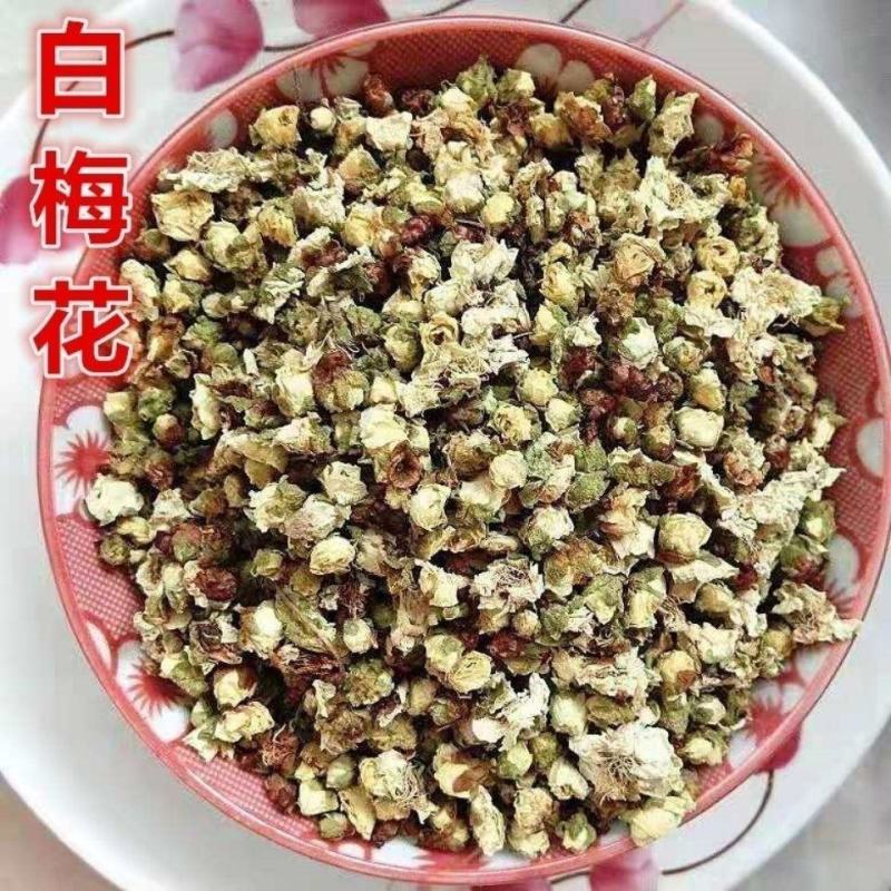 白梅花特级正品绿梅花白梅花绿萼梅