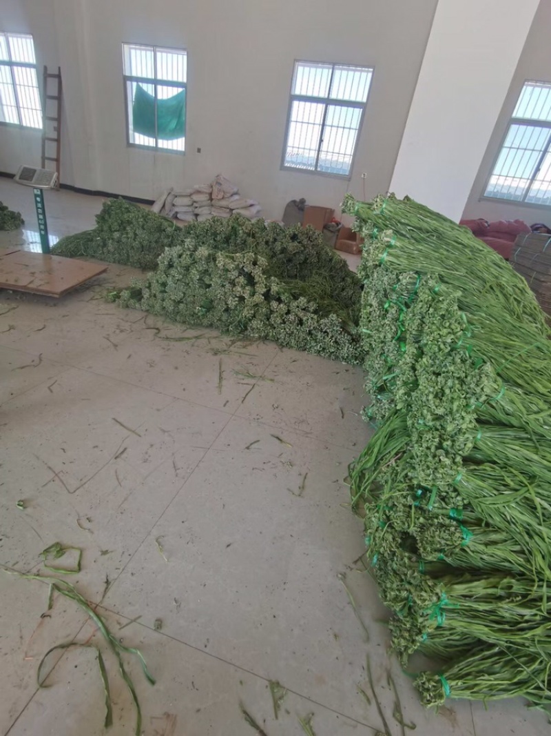 精品贡菜干贡菜苔干菜干笋条云南贡菜安徽菜浙江菜