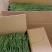 精品贡菜干贡菜苔干菜干笋条云南贡菜安徽菜浙江菜