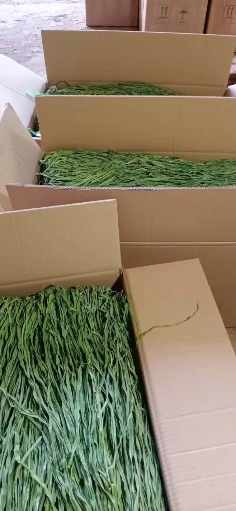精品贡菜干贡菜苔干菜干笋条云南贡菜安徽菜浙江菜