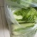 冬储大白菜北京3号白菜