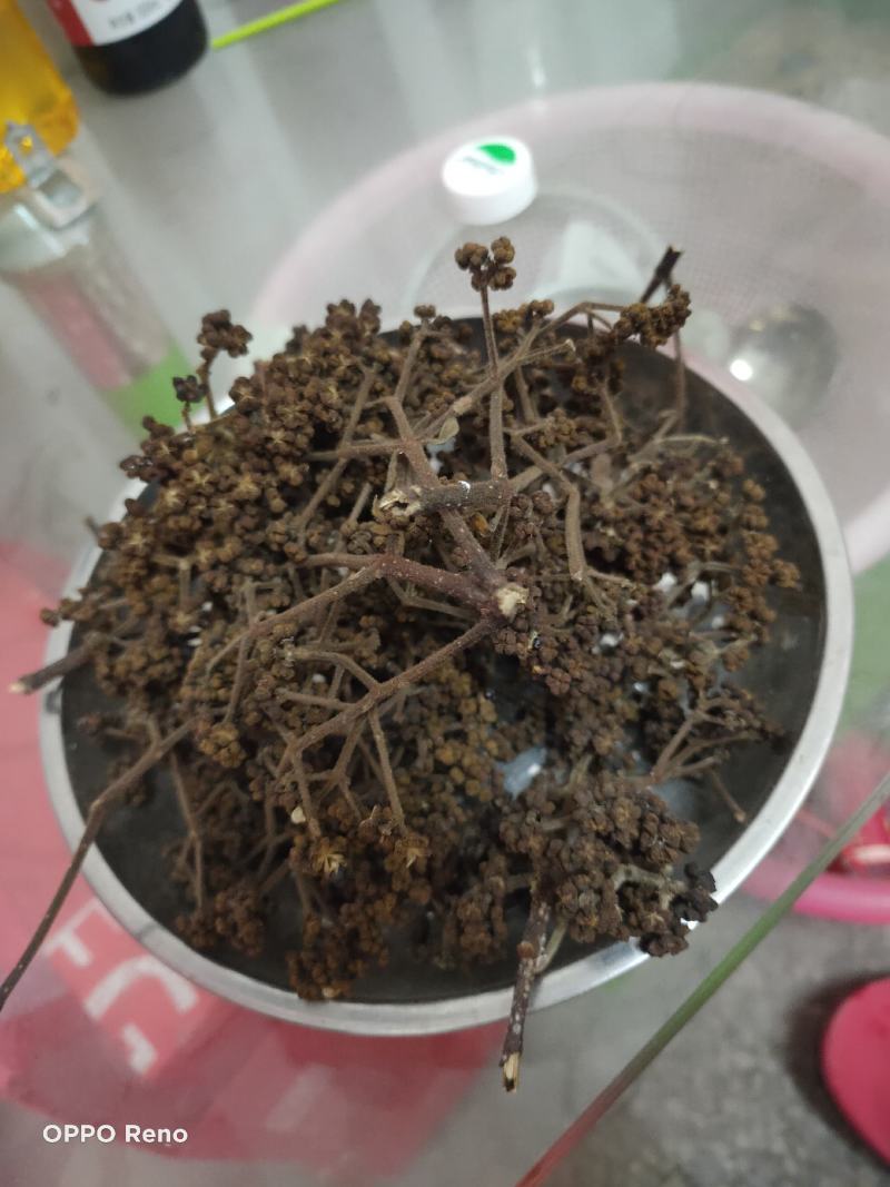吴茱萸(广西中花吴茱萸，200公斤)