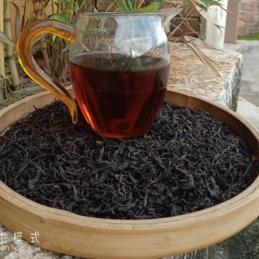 云南省西双版纳勐海县高海拔生态紫鹃熟茶
