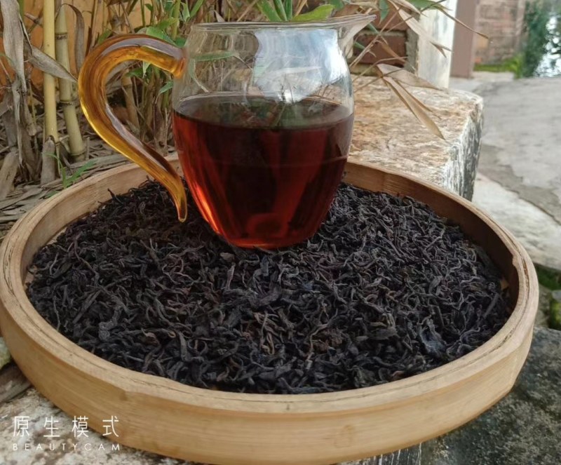 云南省西双版纳勐海县高海拔生态紫鹃熟茶