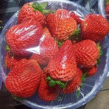 奶油草莓，章姬奶油草莓