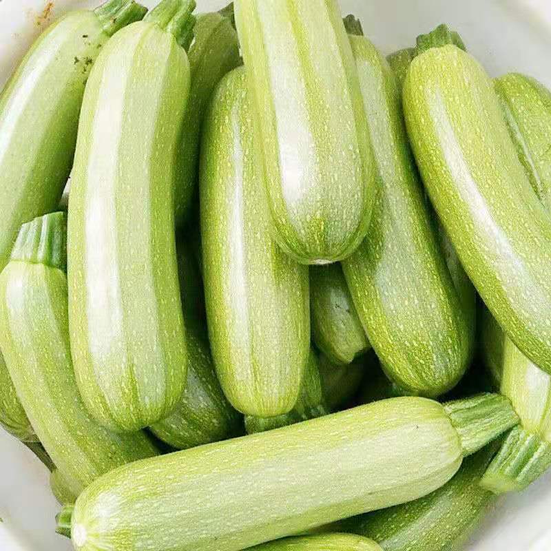 西葫芦，【农家自种】西葫芦，现摘现发，包邮到家！