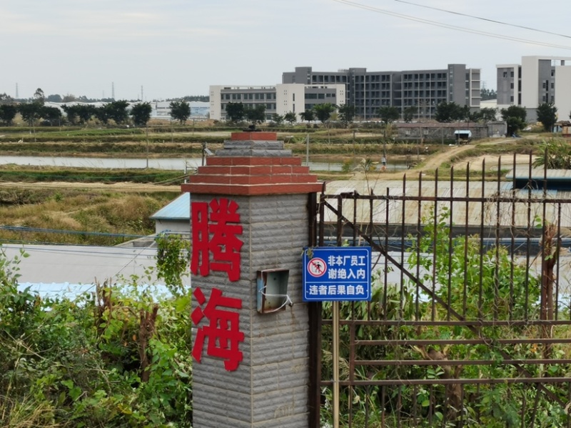 军鱼苗批发光鱼苗坑娟鱼苗基地直供青竹鲩鱼苗指导养殖