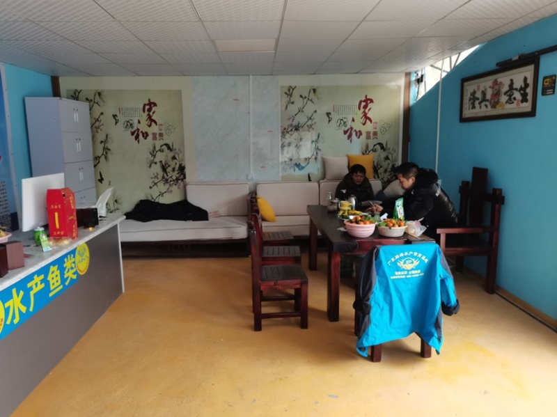 丁桂鱼苗（丁岁鱼苗）批发，绿丁贵苗~基地直供~技术指导