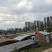 泥鳅苗统货，台湾泥鳅苗批发，基地直供，技术指导，成品收购