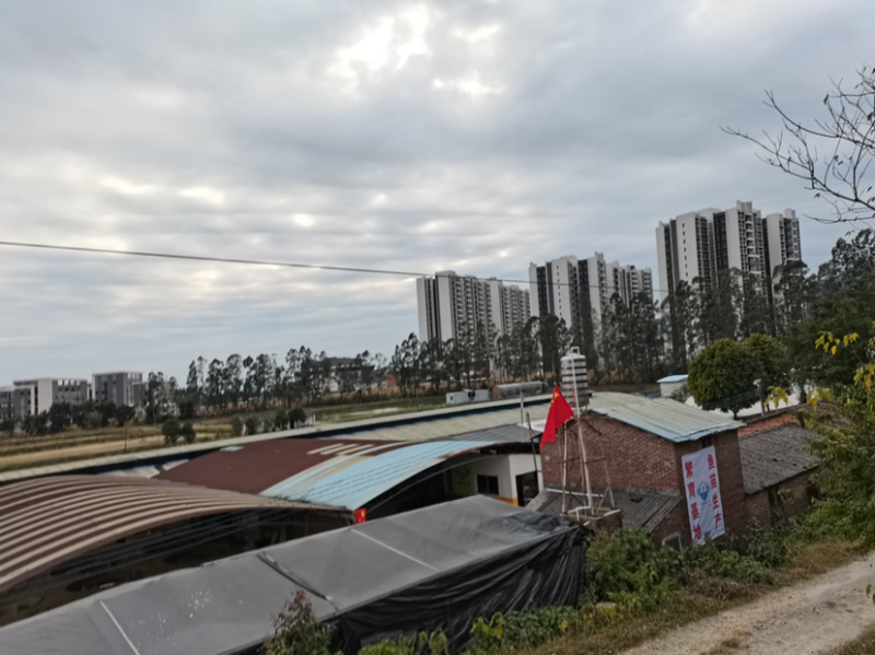 泥鳅苗统货，台湾泥鳅苗批发，基地直供，技术指导，成品收购