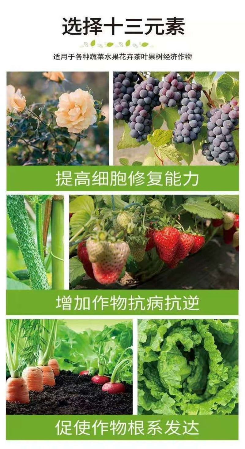 糖醇钙抗病水溶肥坐果率高快速补钙增硬防裂