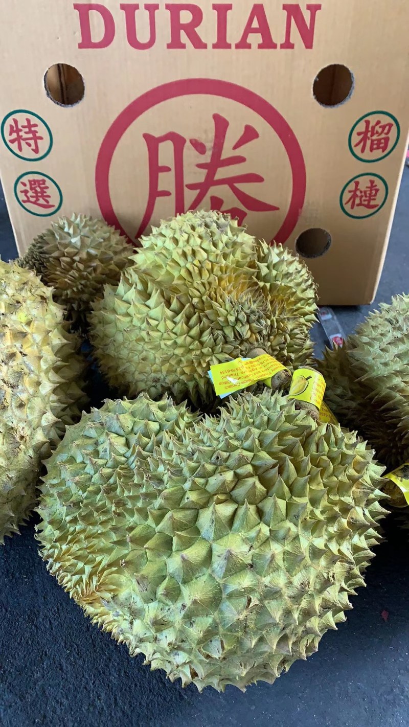 《常年有货》泰国金枕榴莲批发一件代发泰国榴莲