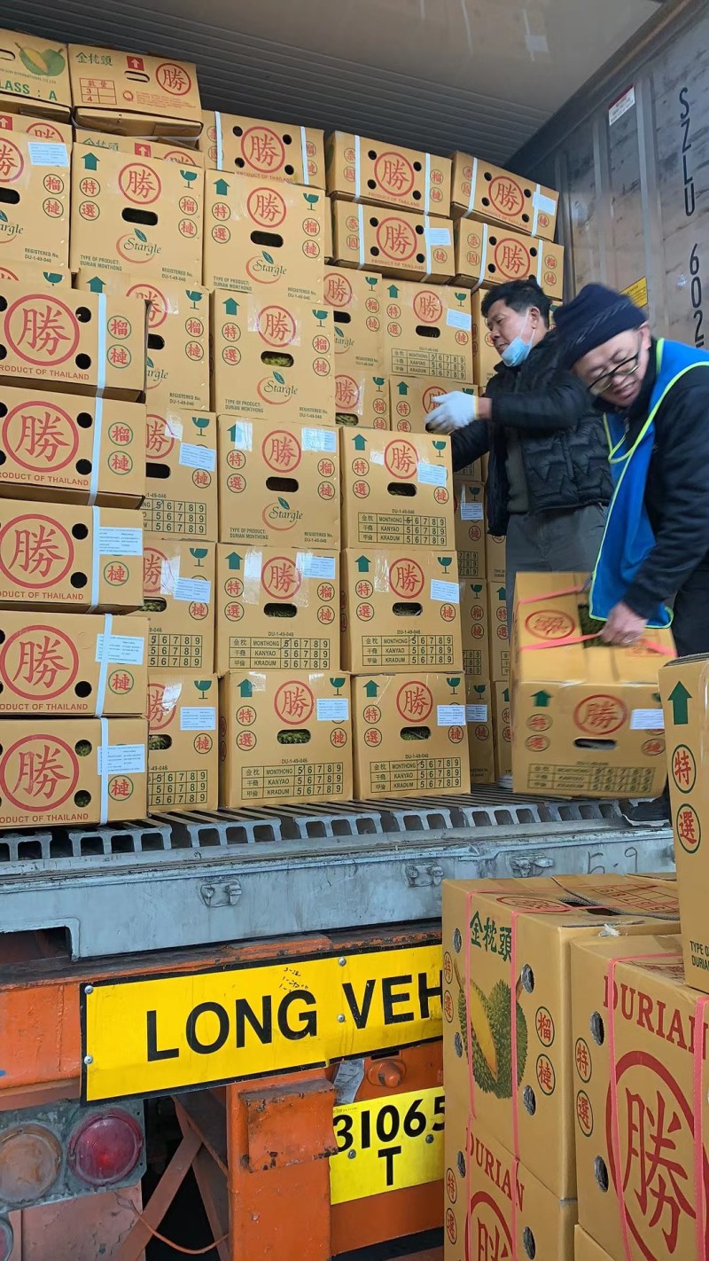 《常年有货》泰国金枕榴莲批发一件代发泰国榴莲