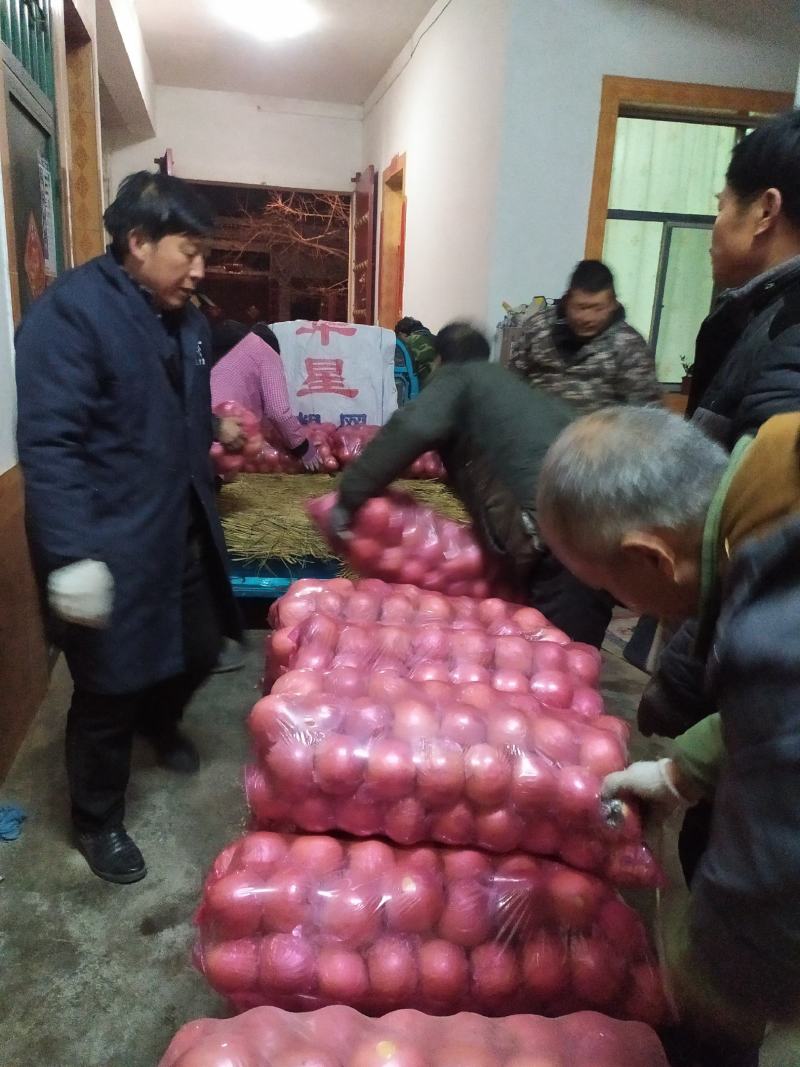 礼泉膜袋苹果，地面货五毛钱包上车。没有其他费用，冷库货八