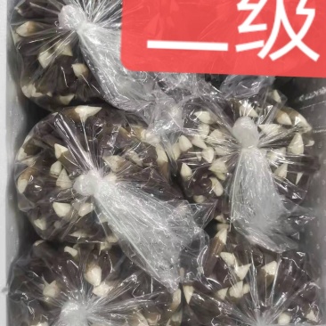 山东黑皮鸡枞菌，江浙沪优先