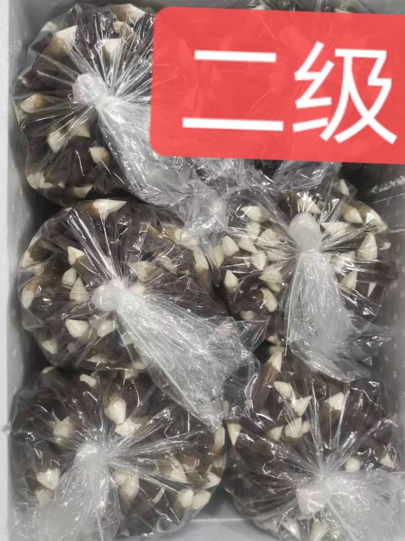 山东黑皮鸡枞菌，江浙沪优先