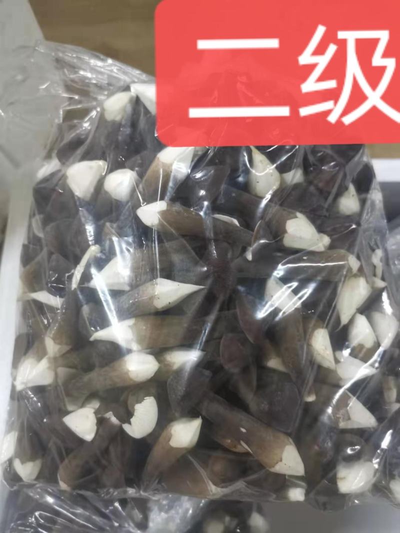 山东黑皮鸡枞菌，江浙沪优先