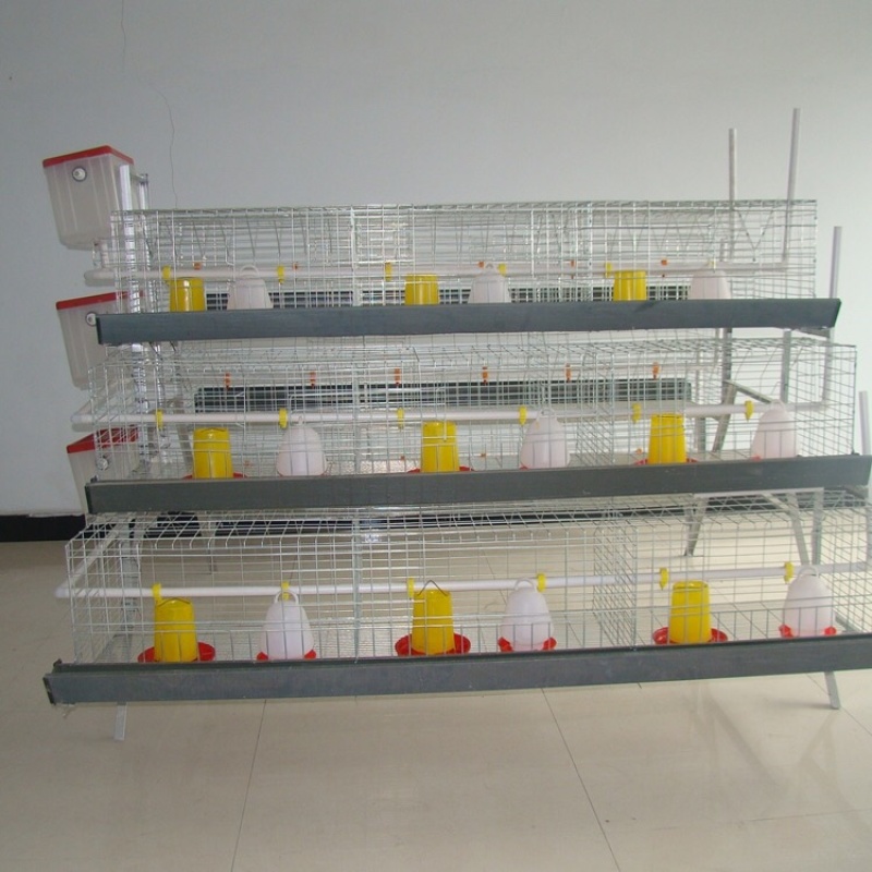阶梯式育雏笼，阶梯式笼具