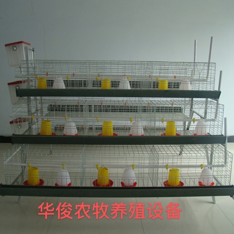 阶梯式育雏笼，阶梯式笼具