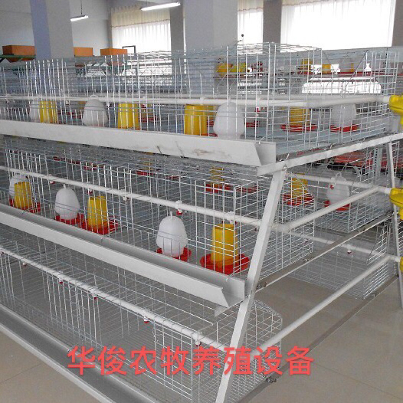 阶梯式育雏笼，阶梯式笼具