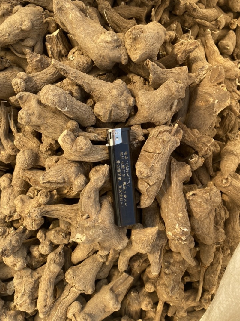 地产中药材，白术初加工，茬口好，常年供应