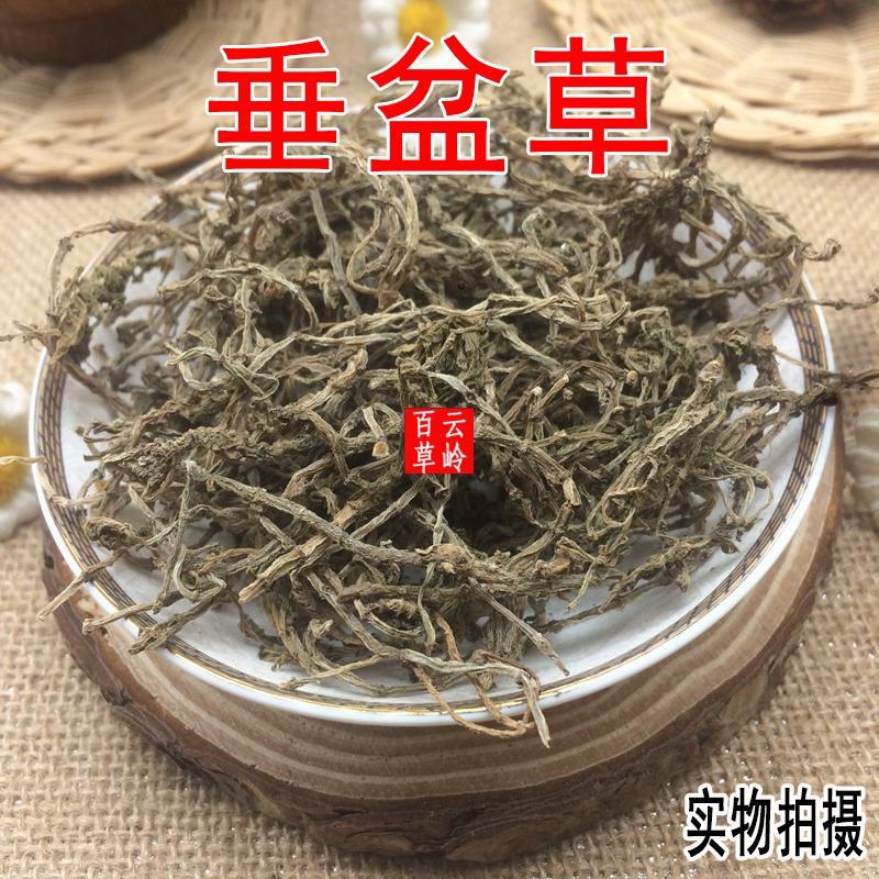 云南野生中药材垂盆草500g包邮