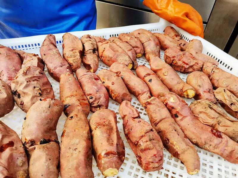 【精品】威海荣成埠柳千亩蜜薯基地网红冰薯大量供货