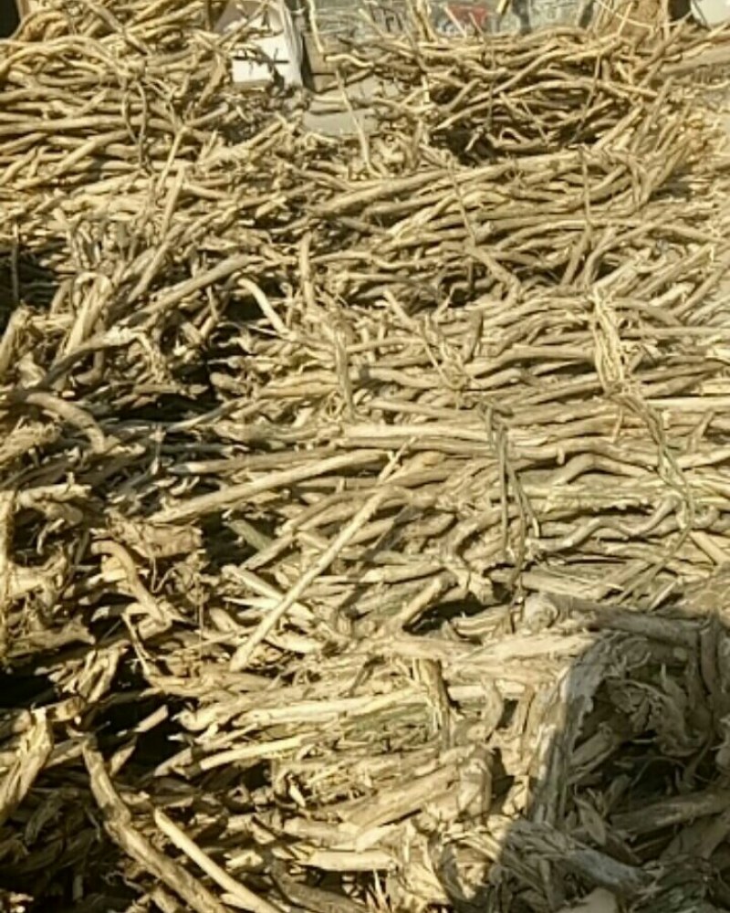 忍冬藤，也叫金银花藤，鲜货，阳枝，价格实惠，