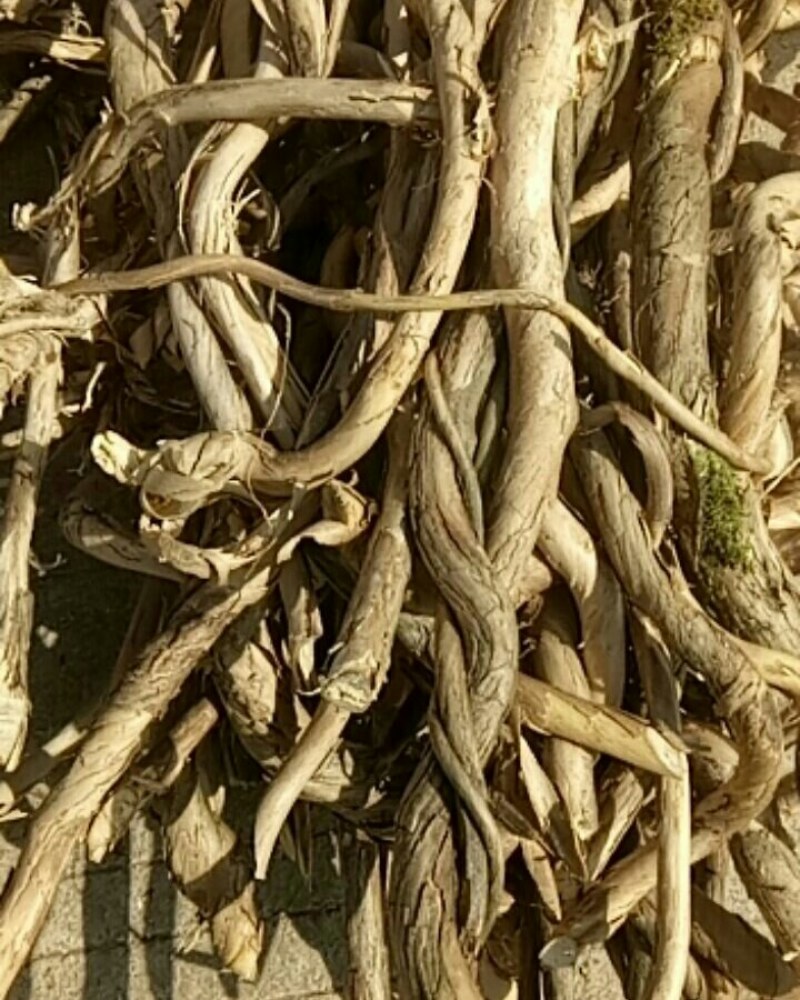 忍冬藤，也叫金银花藤，鲜货，阳枝，价格实惠，