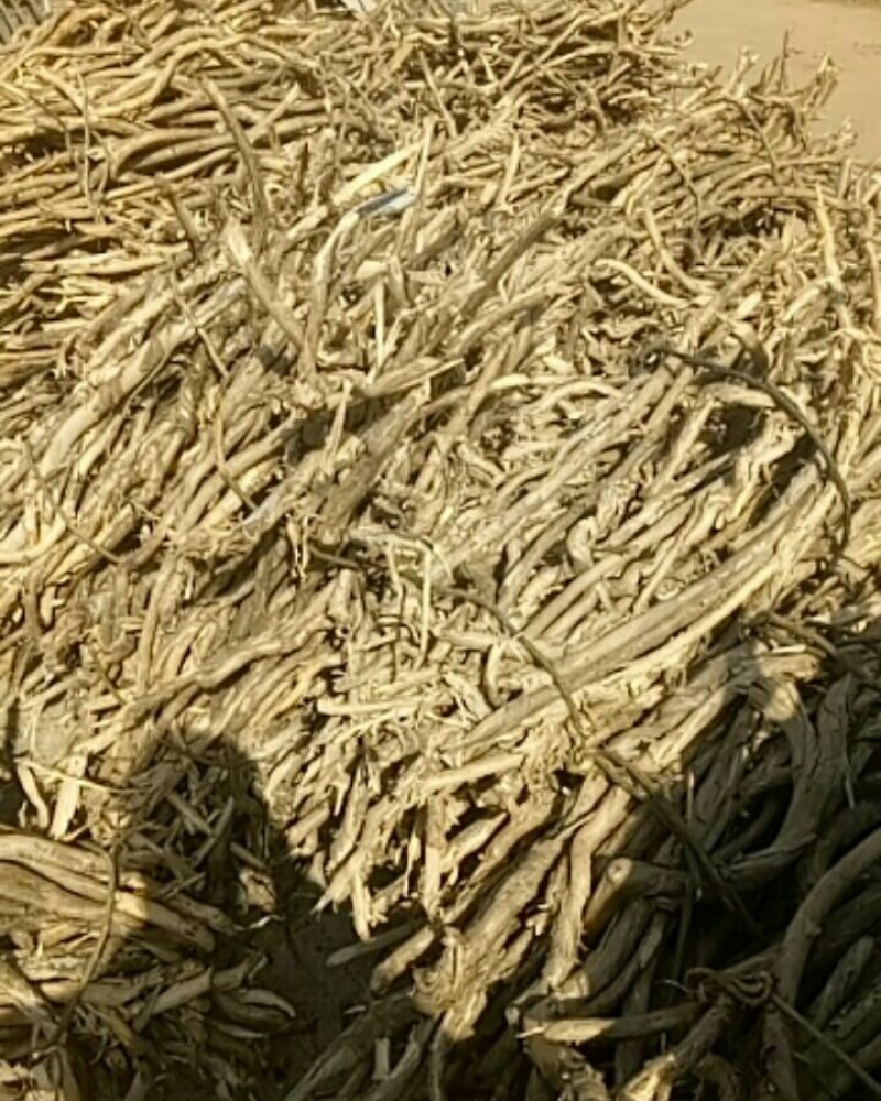忍冬藤，也叫金银花藤，鲜货，阳枝，价格实惠，