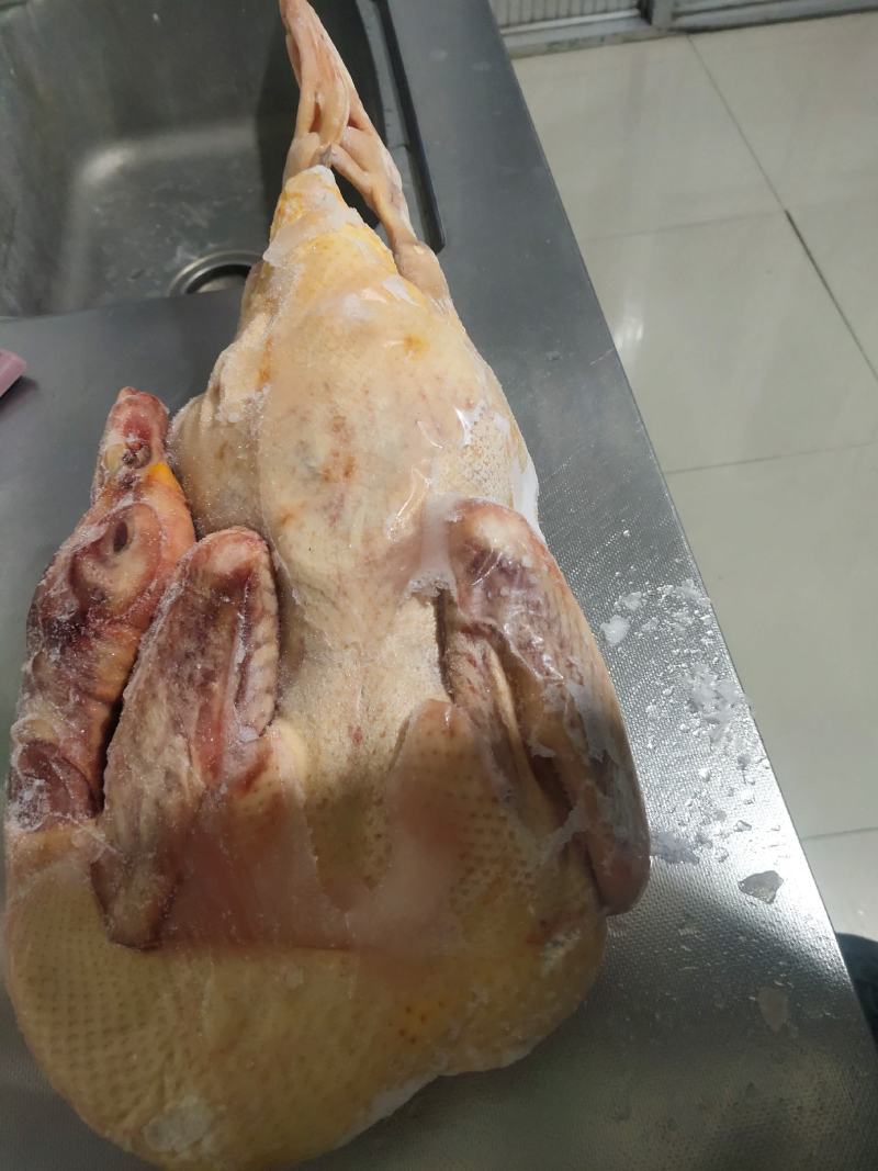 散养生态环境飞鸭，肉质鲜美