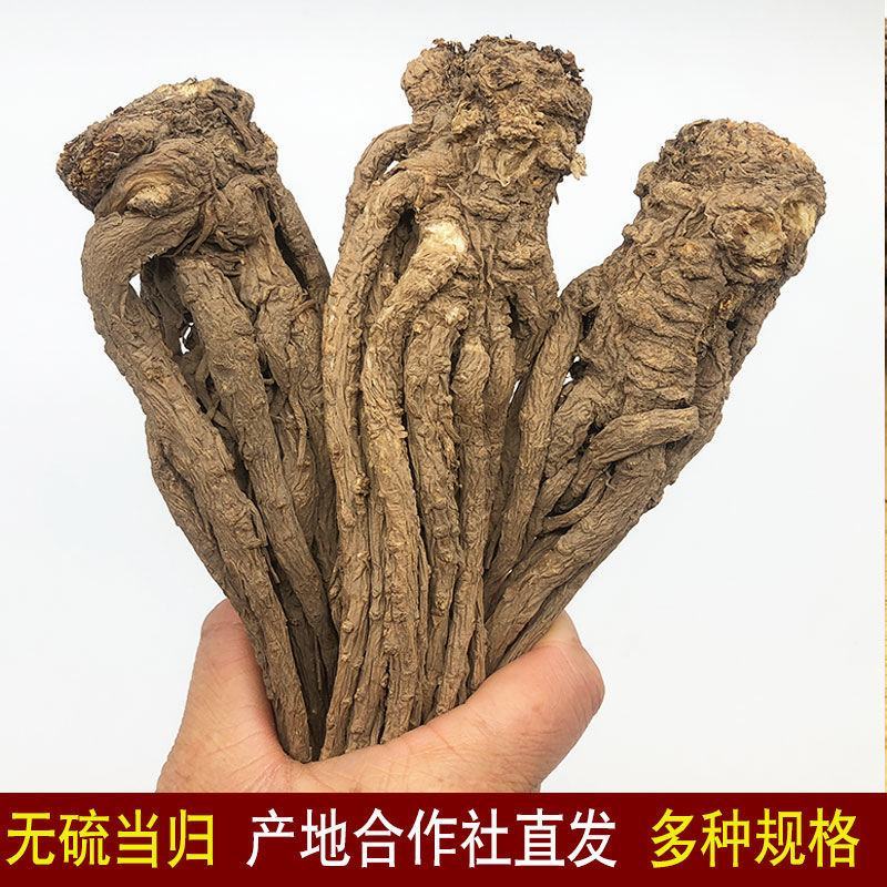 【热销】（新店开业新货上市）岷县无硫大条当归当归片批发