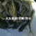 红眼金草鱼苗赤目金草鱼苗稀有草鱼高端观赏鱼苗
