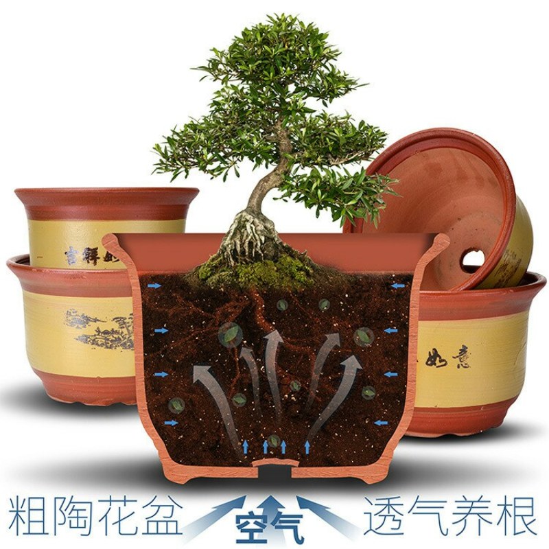陶瓷花盆陶土泥盆粗陶花盆高档紫砂梅花兰花盆带托盘包邮
