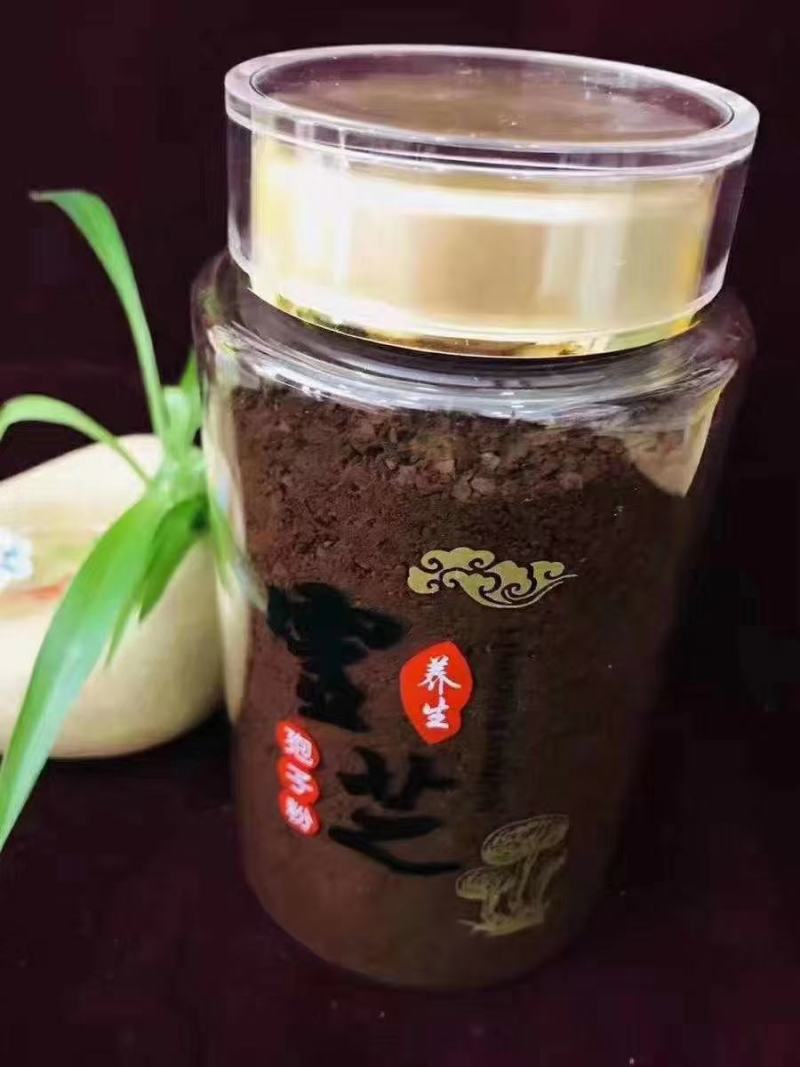 吉林长白山灵芝孢子粉纯粉东北特产东北三宝