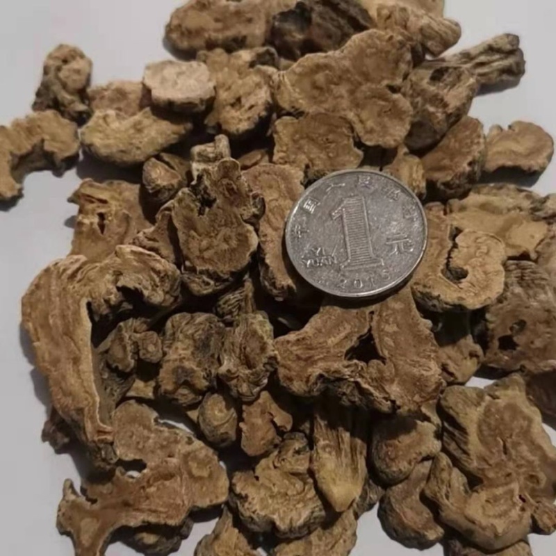 【精品】吉林长白山蒲公英根茶保质保量欢迎选购