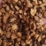 【精品】吉林长白山蒲公英根茶保质保量欢迎选购