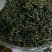 【精品】吉林长白山正宗蒲公英叶茶保质保量量大从优