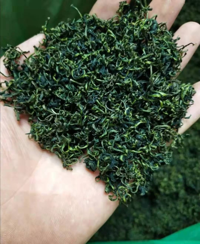 【精品】吉林长白山正宗蒲公英叶茶保质保量量大从优