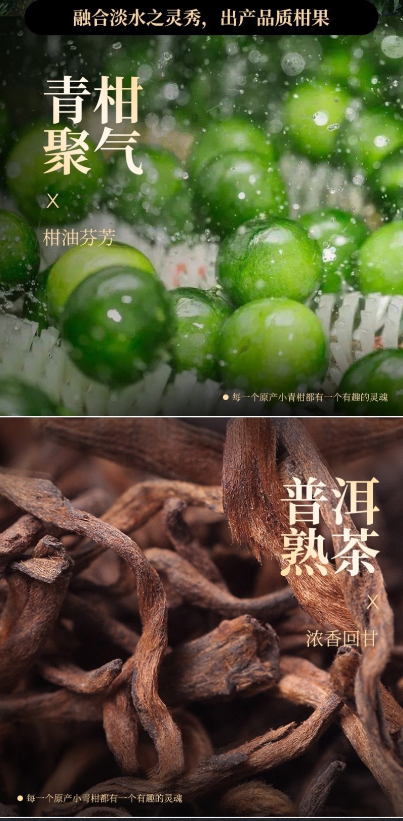 新会小青柑普洱茶柑橘茶广东特产柑普茶普洱熟茶