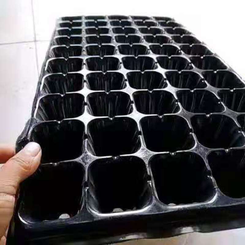 穴盘_育苗穴盘_山东穴盘厂_莘县育苗穴盘