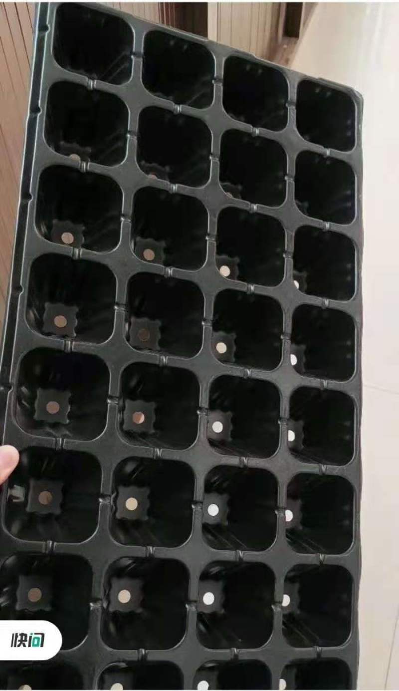 穴盘_育苗穴盘_山东穴盘厂_莘县育苗穴盘