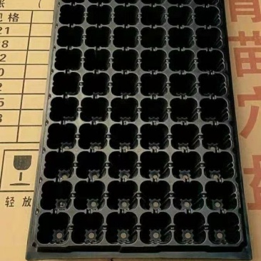 穴盘_育苗穴盘_山东穴盘厂_莘县育苗穴盘