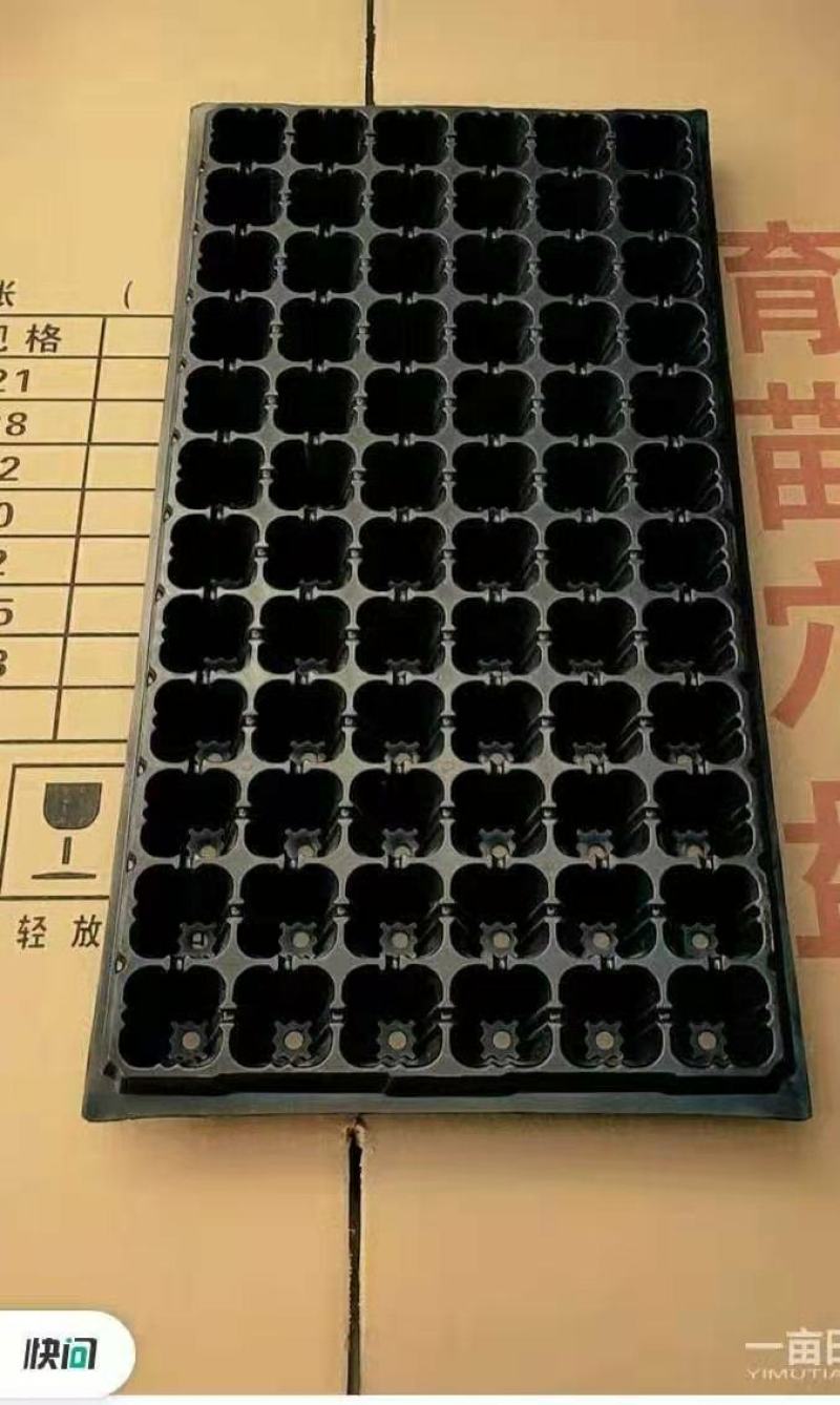 穴盘_育苗穴盘_山东穴盘厂_莘县育苗穴盘